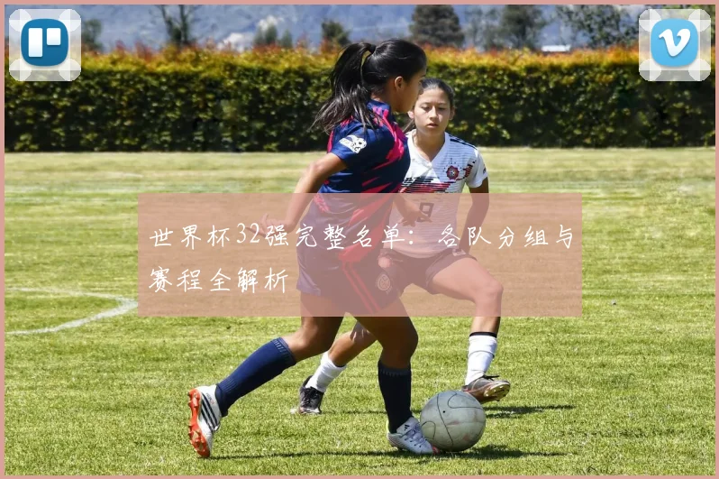 世界杯32强完整名单:各队分组与赛程全解析