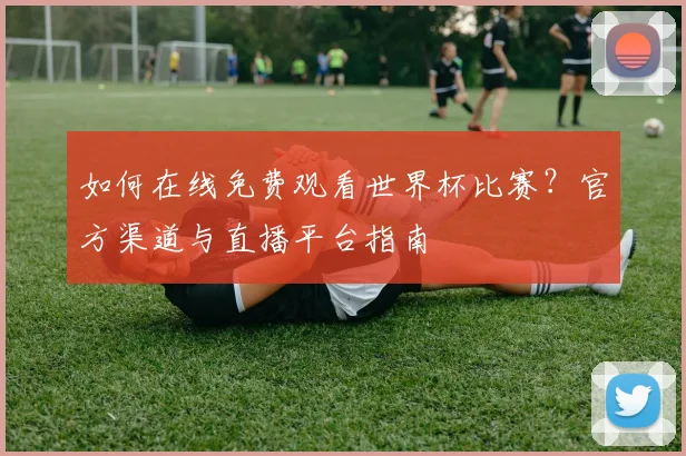 如何在线免费观看世界杯比赛?官方渠道与直播平台指南